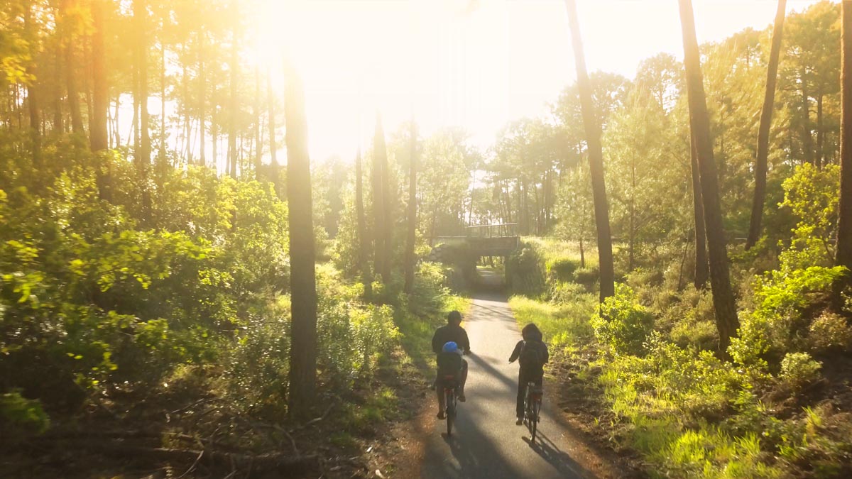 balade en famille sur les pistes cyclables en forêt