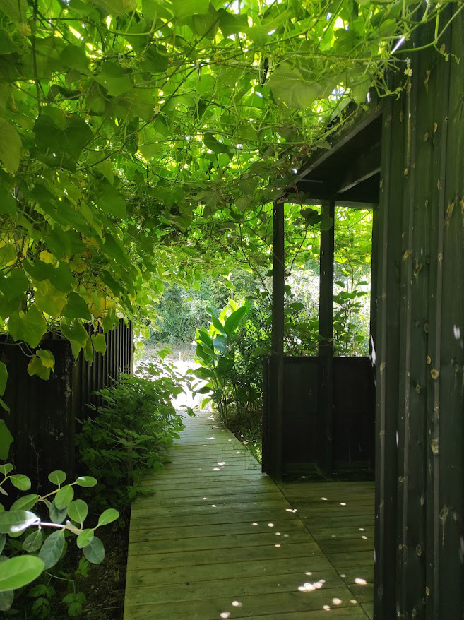 passerelle en bois, pour se balader dans l'éco-village