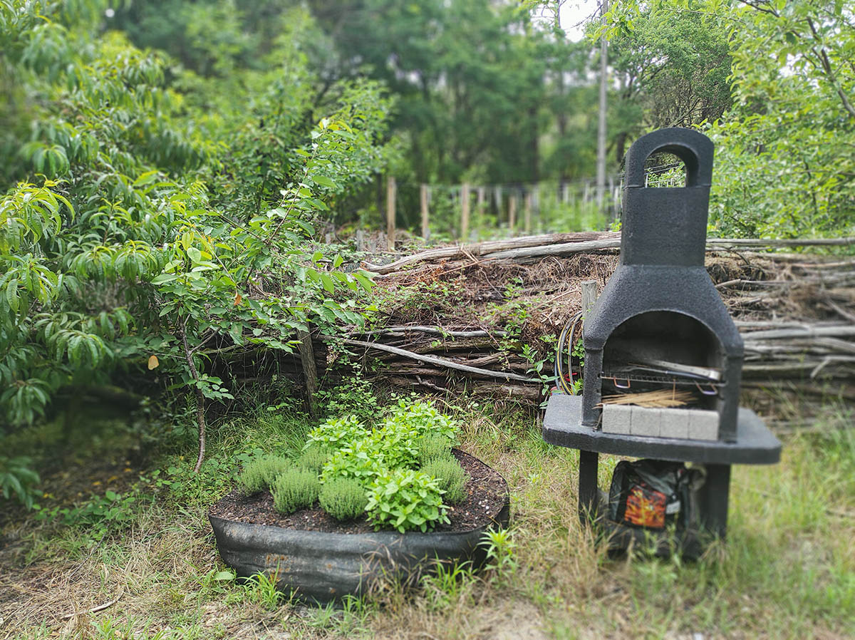 barbecue commun pour des bonnes grillades conviviales