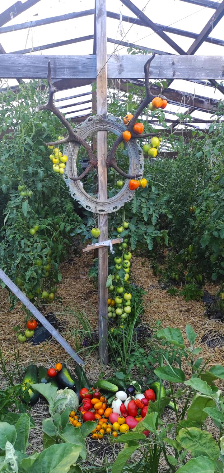 potager bio, sur votre lieu de vacances