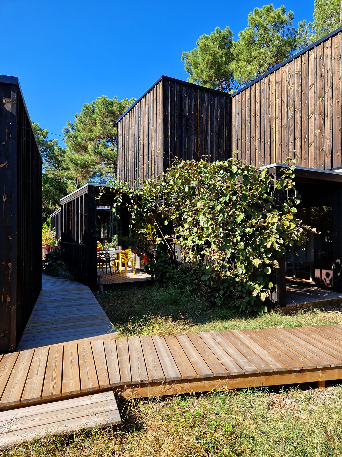 Lodges en bois bardé noir, intégré parfaitement dans le cadre naturel