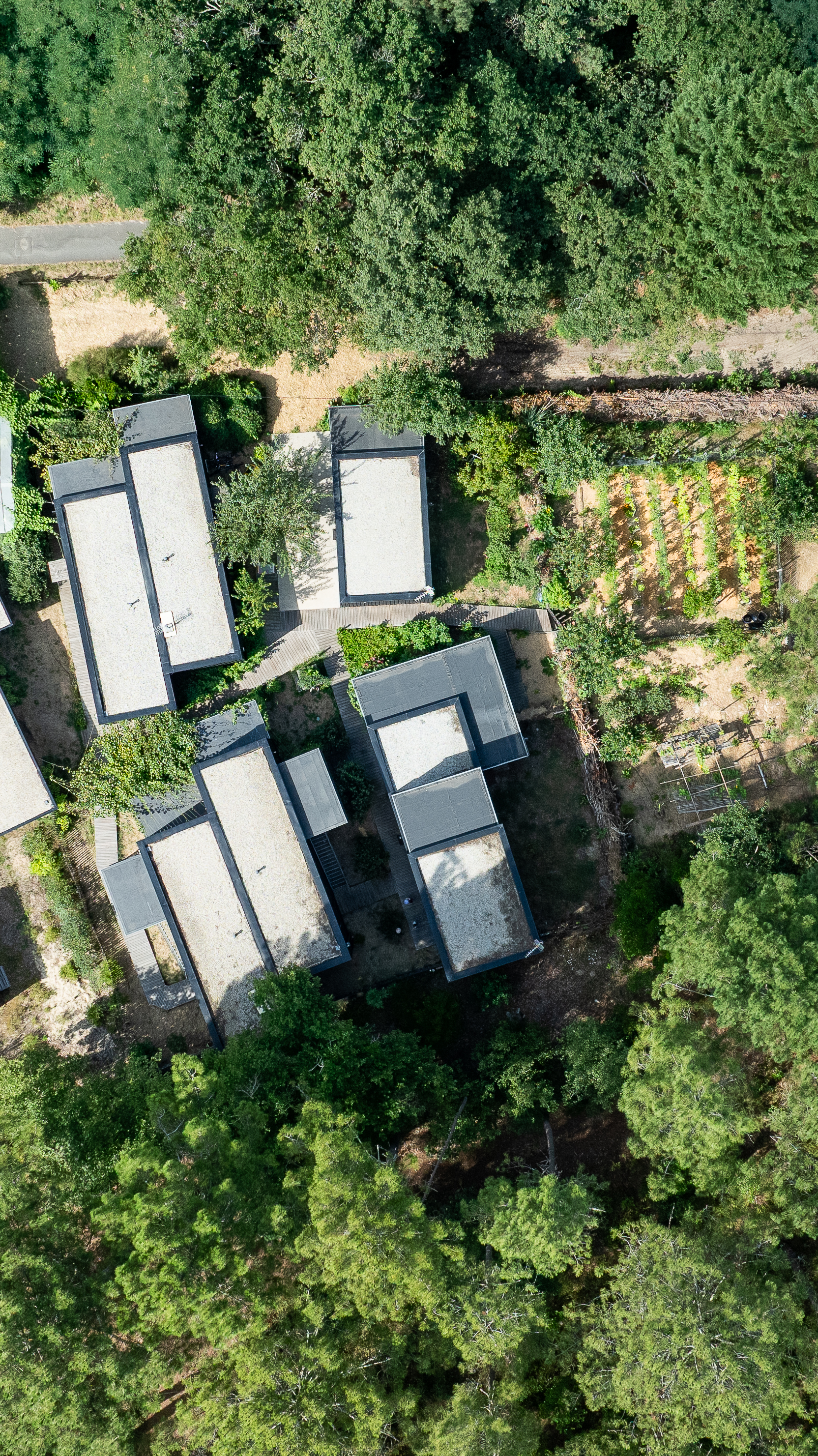 hébergement moutchic inn à lacanau