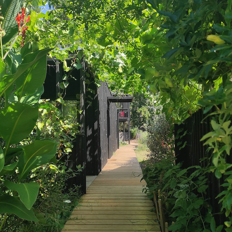 hébergement moutchic à Lacanau